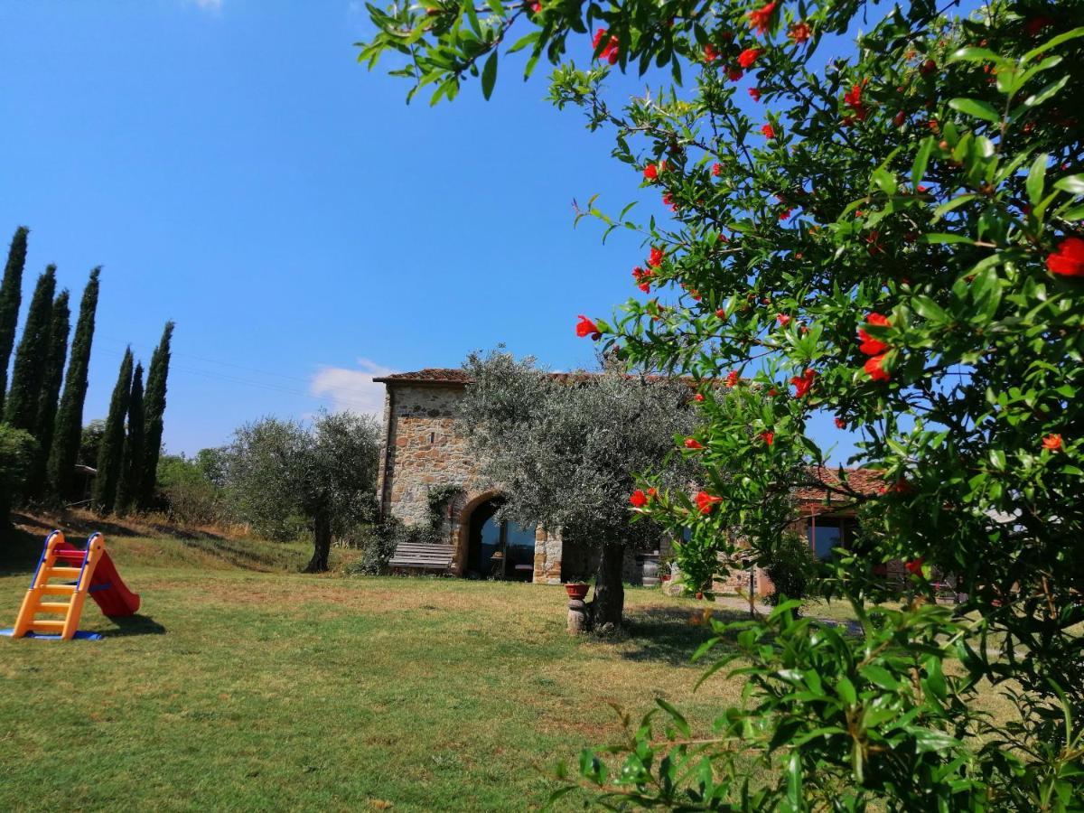 Casetta Dell'Uliveto Macchiascandona Buitenkant foto