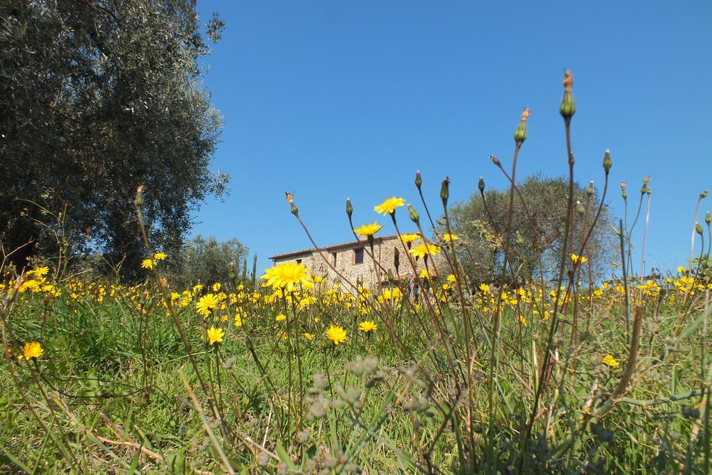 Casetta Dell'Uliveto Macchiascandona Buitenkant foto