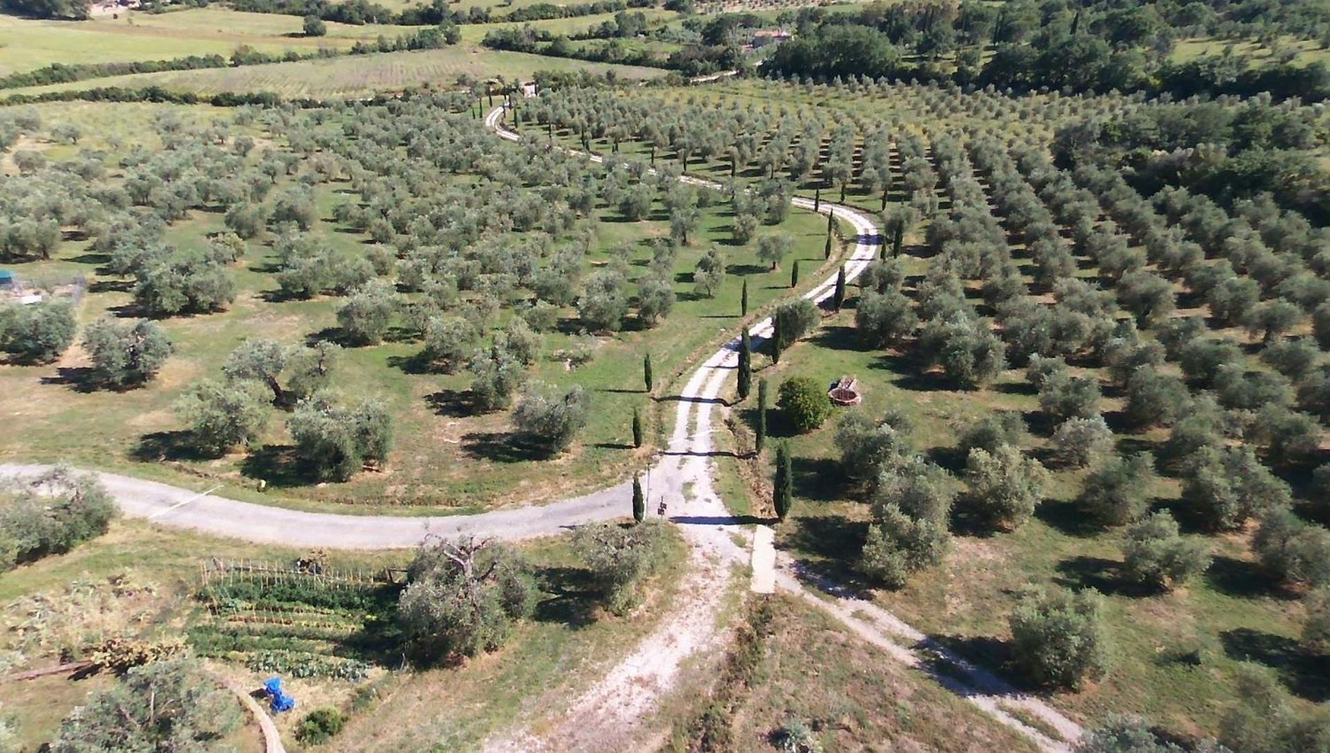 Casetta Dell'Uliveto Macchiascandona Buitenkant foto