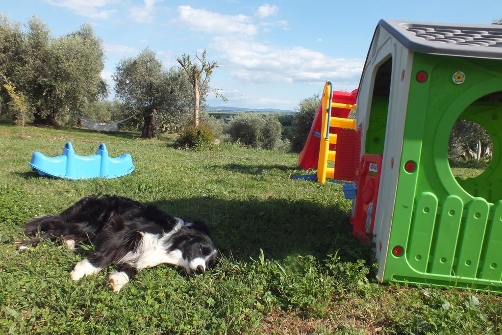 Casetta Dell'Uliveto Macchiascandona Buitenkant foto
