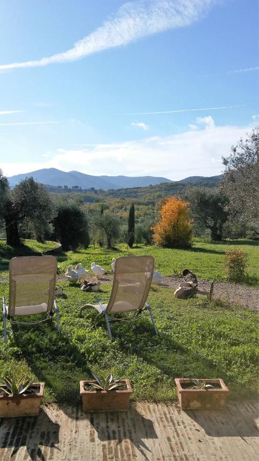 Casetta Dell'Uliveto Macchiascandona Buitenkant foto